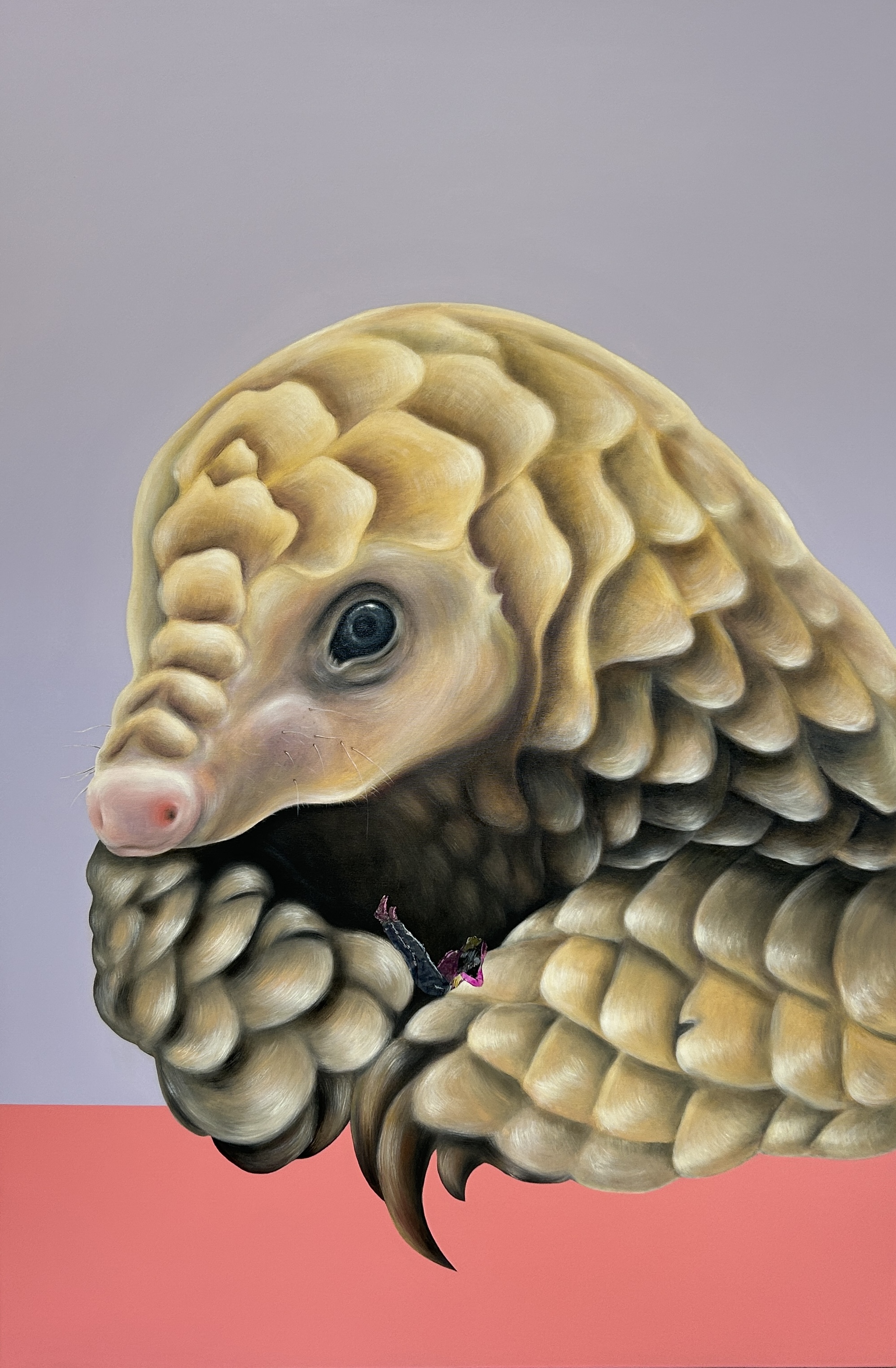 Pangolin
