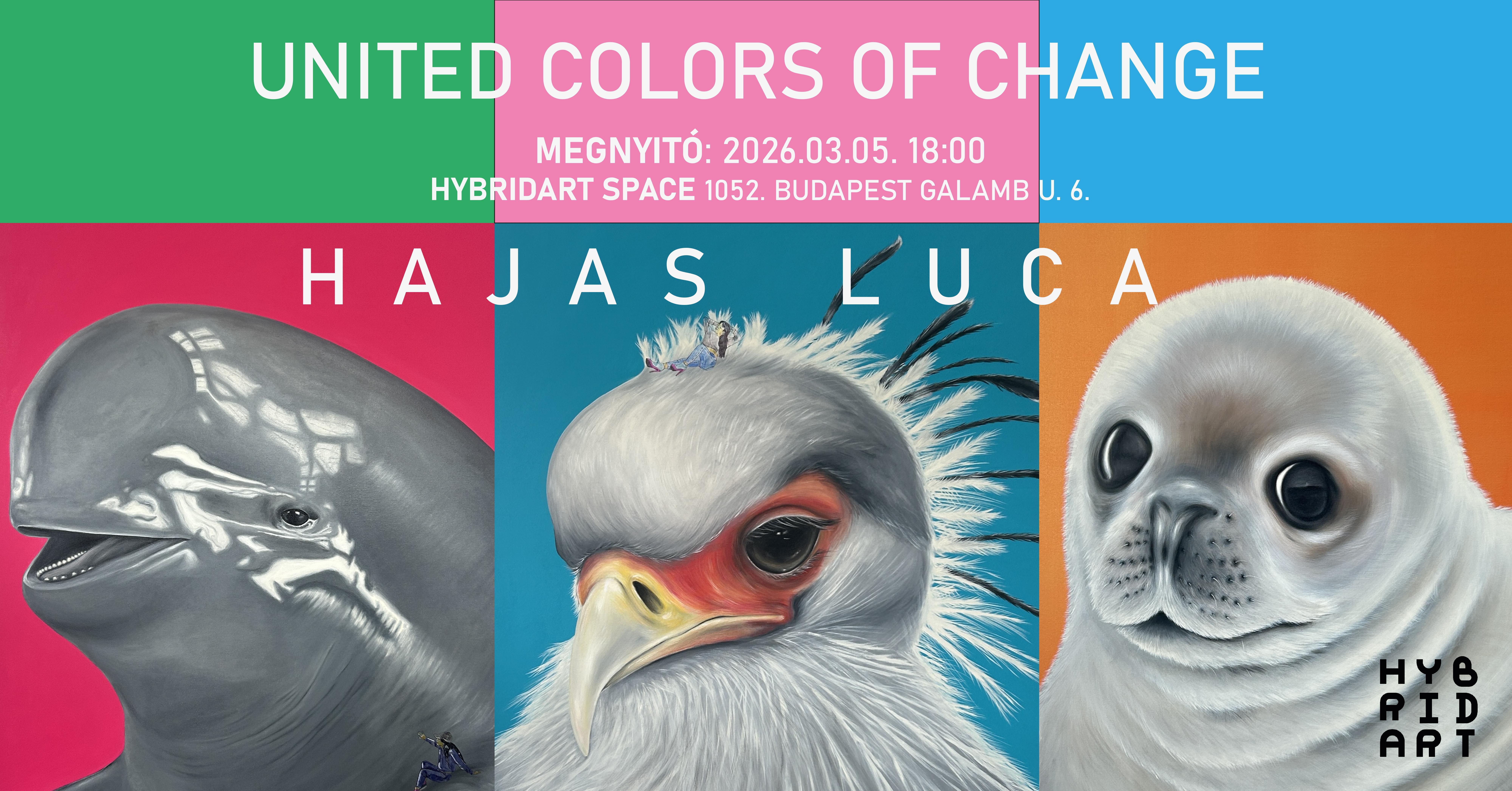 Meghívó Hajas Luca kiállítására