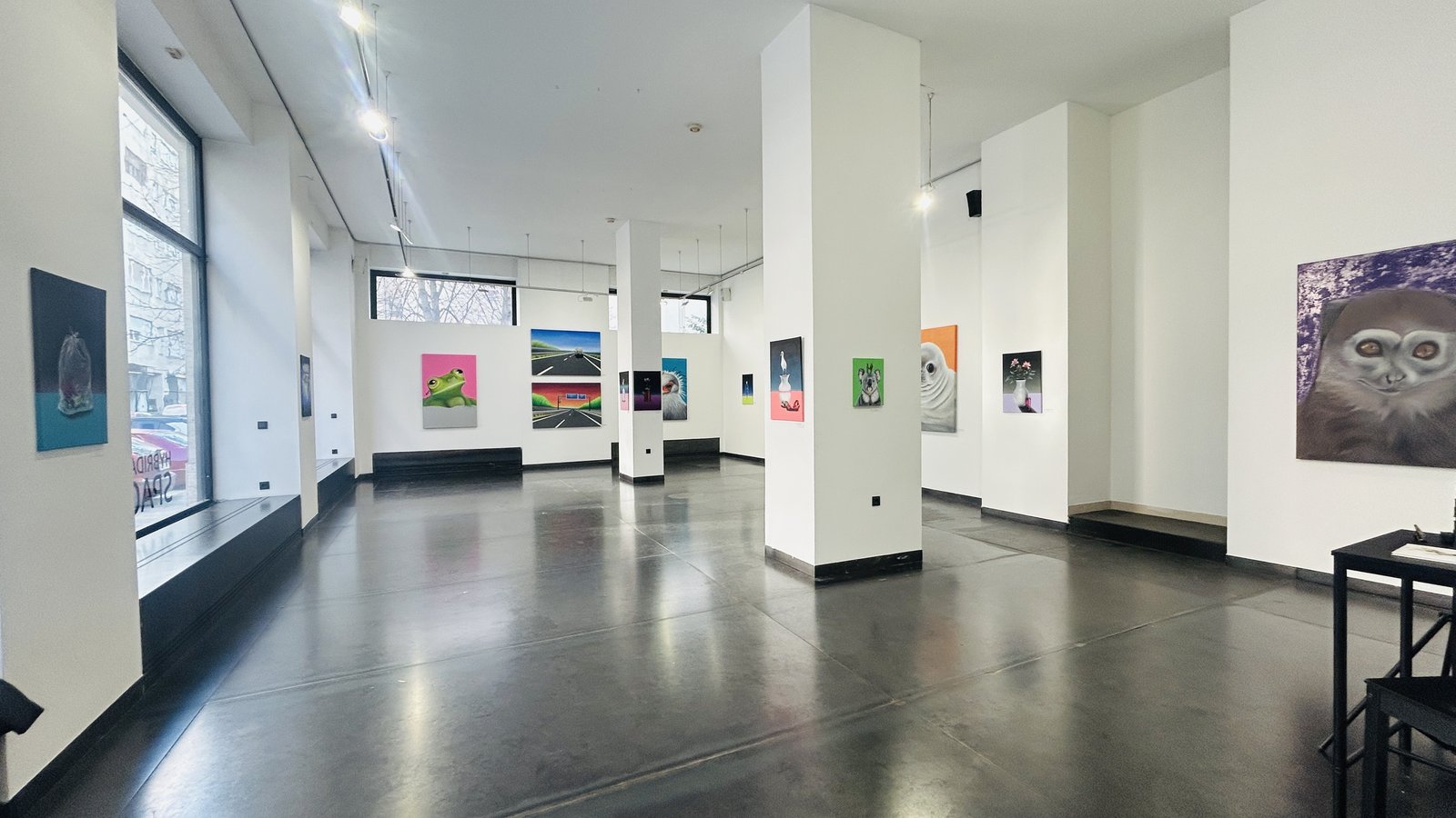 A Hybridart Space Gallery kiállítótere a kirakat felől: a falakon és az oszlopokon állatportrék, csendéletek és autópálya-képek, jobbra elöl egy nagy majomportré