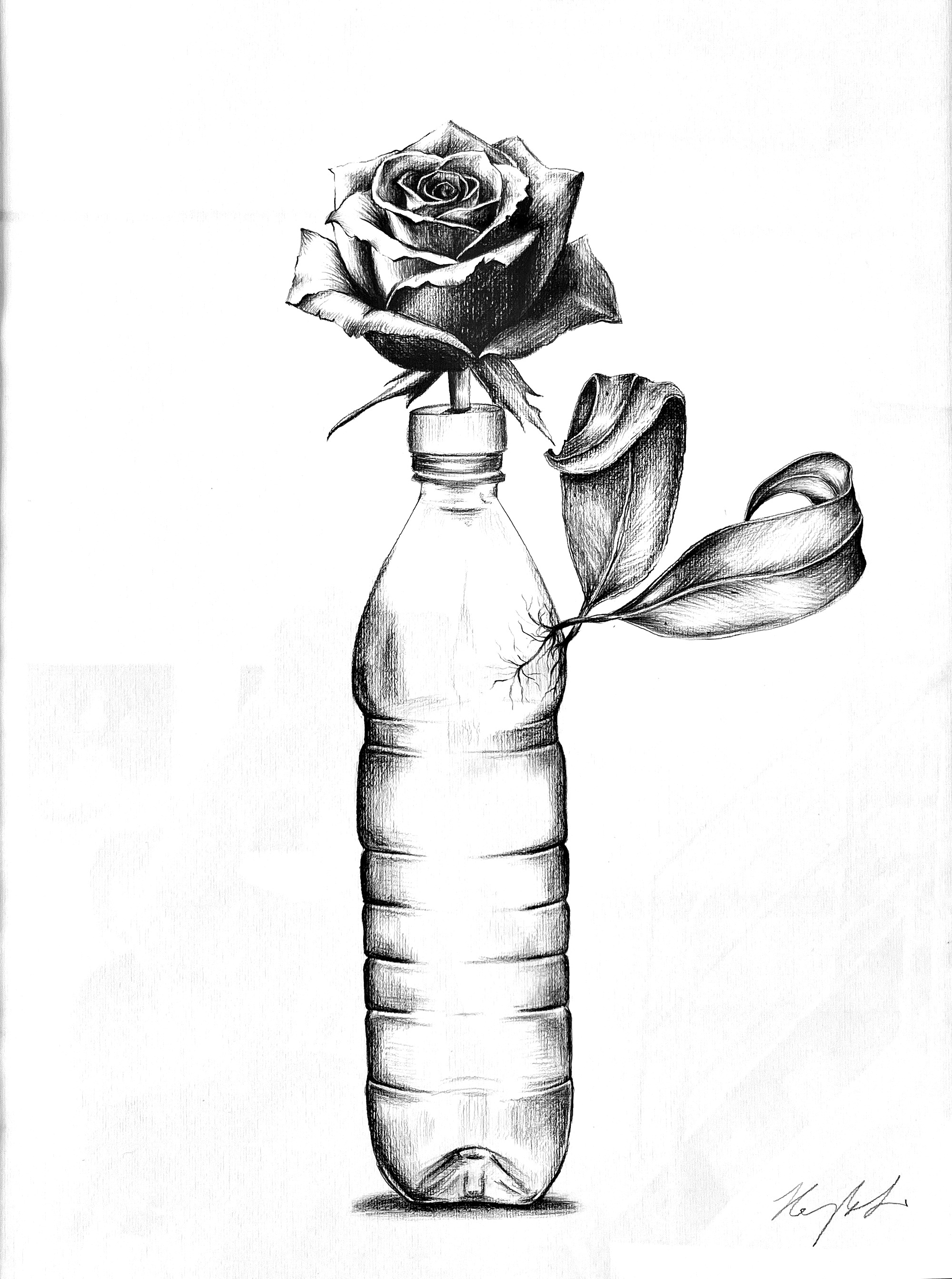 Rose with Plastic