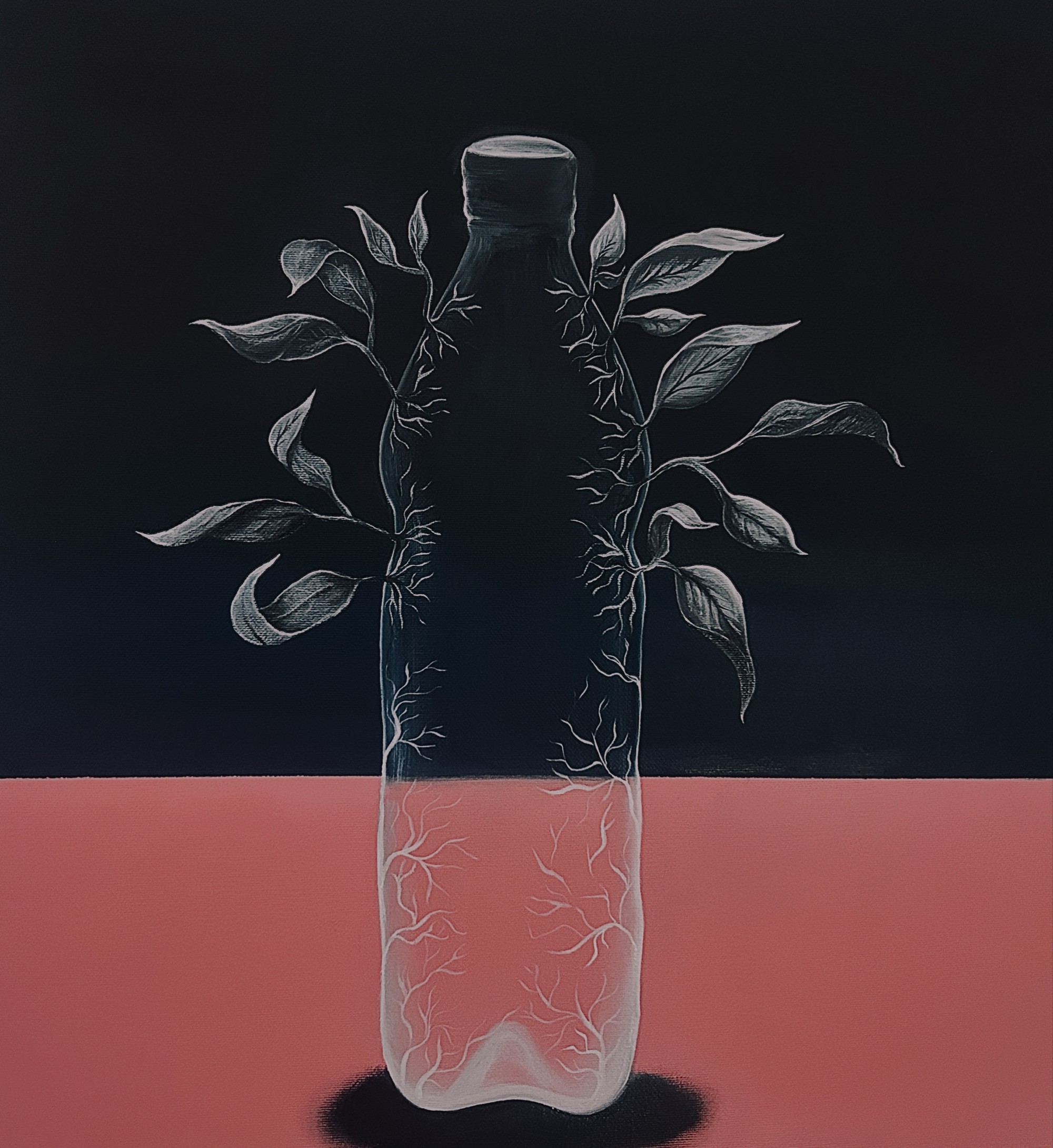 Plastic with Nature