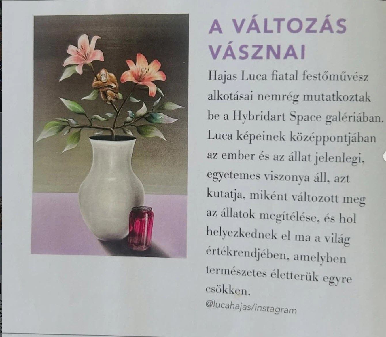 Magazinoldal-részlet: balra az Orangutans Today című festmény (fehér vázában rózsaszín liliomok, az ágon orangutánkölyök, mellette magenta fémdoboz), jobbra A változás vásznai című rövid cikk Hajas Lucáról